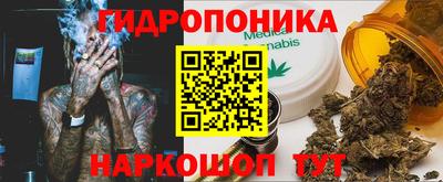 сатива Кимры