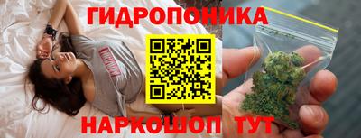 марихуана Кингисепп